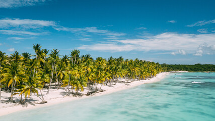 Tropical beach coastline with palms, white sand and turquoise blue water. Amazing paradise picture
