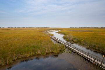 Point Pelee Evening Lookout
