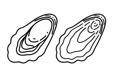 Two oysters. Vector line art illustrations set.
