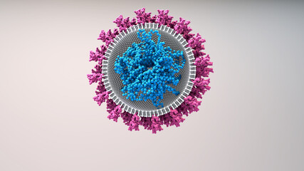 RNA vaccine new type of vaccine inserts fragments of the virus RNA into human cells to reprogram them to produce viral protein spikes then stimulate and immune response