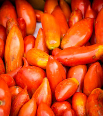 fresh tomatoes at a farmers market