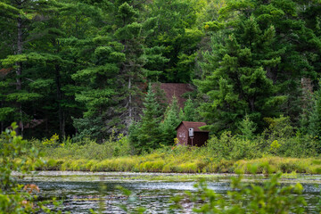 Obraz premium Cabin in the Woods