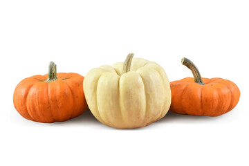 Pumpkins on White Background with Clipping Path