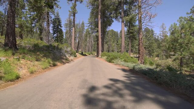 Sequoia National Park Driving Plate Crescent Meadow Rd Eastbound 07 Sequoia Forest In Sierra Nevada Mts California