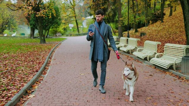 Focused young handsome man walking with dog in autumn park holding use phone. Typing on smartphone. Social media outdoor. Close up. Slow motion