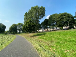 Fototapeta na wymiar Parkland, near Poplar Crescent, with a wide footpath, a lawn and old trees in, Shipley, Bradford, UK