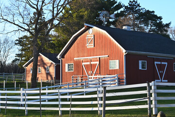 Small Barn and Shed