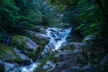waterfall in the forest