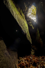 View up out of the small dark cave in autumn forest