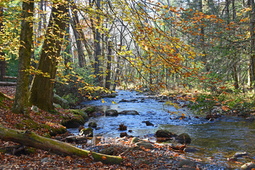 Fall in Cades Cove