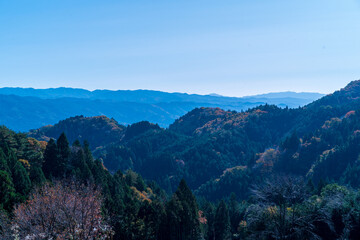 landscape in the mountains