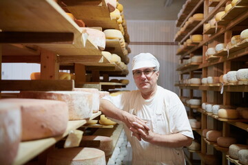 Cheese maker at the storage with shelves full of cow and goat cheese - obrazy, fototapety, plakaty