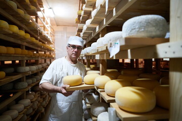 Cheese maker at the storage with shelves full of cow and goat cheese