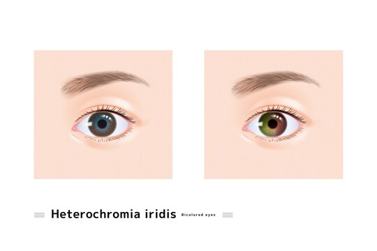 見開く の画像 306 件の Stock 写真 ベクターおよびビデオ Adobe Stock