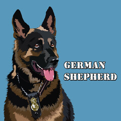 German Shepherd Dog vexel illustration isolated in blue background