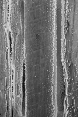 frosty old barn boards 
