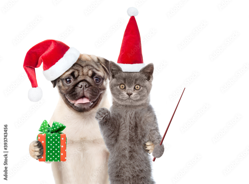 Aufkleber funny puppy and kitten wearing red christmas hats with gift box point away on empty space. isolated 