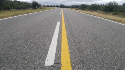 Ruta entre la vegetación