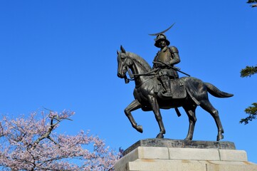 桜と伊達政宗騎馬像
