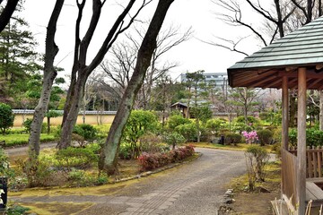 埼玉県航空記念公園 日本庭園