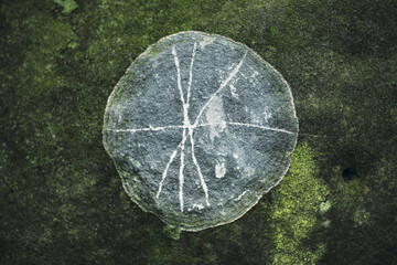 Closeup of natural rock surface in a Iceland cave.