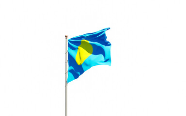 National state flag of Palau fluttering at sky background.