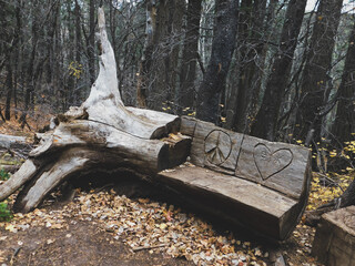 Lovebench - Cloudcroft forest New Mexico