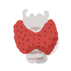 Human thyroid; Hand drawn vector illustration like woodblock print