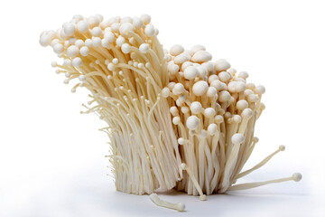 Harvest Edible Enokitake Mushroom on White Background