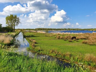 landscape with river and blue sky