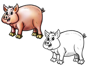 Pig Color and Line Drawing	