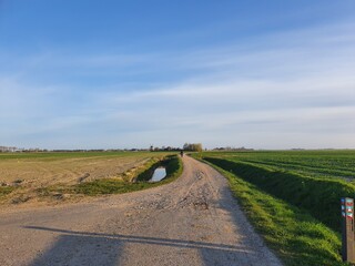 road in the field