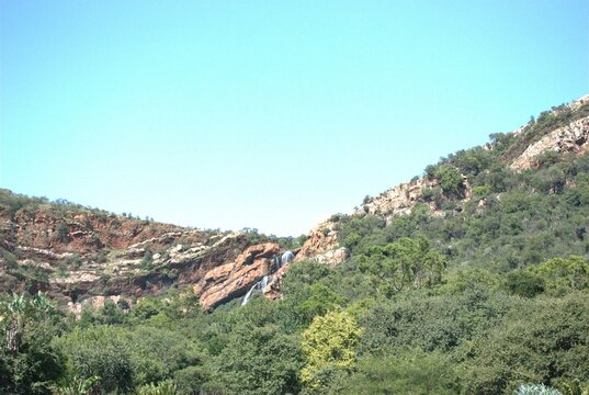 Photos Taken In Walter Sisulu Botanical Gardens