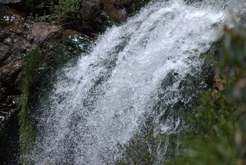 Photos taken in Walter Sisulu Botanical Gardens