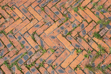 Background. Setts sprouted green grass. Cobblestone texture