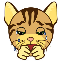 poor upset emoticon weeps and cries, simplistic facial expression vector illustration, cat cartoon character, simple hand drawn line icon from a set