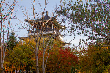 Autumn in the city. Fall colors and a Chinese architecture