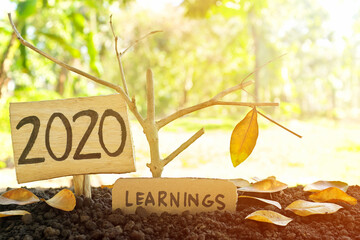 A tree branch with a single remaining last leaf hanging beside a 2020 Learning sign at sunset. Life...