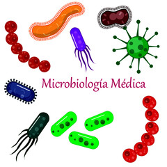 Microbiología Médica