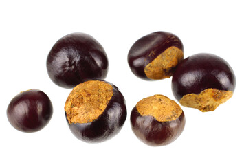 Scattered Guarana Seeds. Dietary Herb and Stimulant Supplement. Caffeine Source for Energy Drinks. Isolated on White Background.