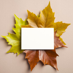 Blank paper card mockup on colorful maple leaves. Autumn, fall concept. Flat lay, top view.