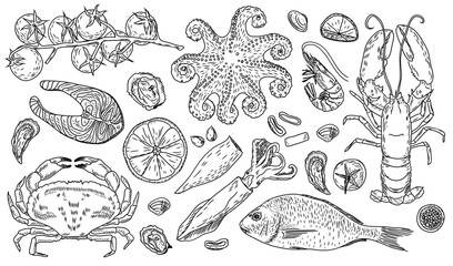 Large vector set of fresh sea products. Lobster, octopus, oysters, shrimp, squid, crab, mussels, trout steak, Dorado, fish, tomatoes, garlic, pepper. For restaurant menus. Linear drawing by hand

