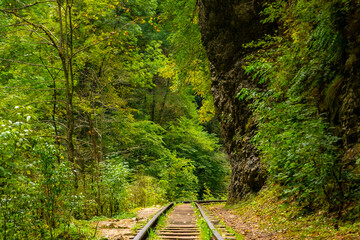 Old narrow gauge railway in mountain region.