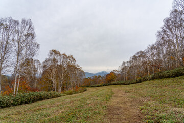 Tashiro Ski Resort in autumn foliage season. Naeba, Yuzawa, Niigata Prefecture, Japan