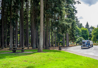 Blue big rig semi truck with loaded flat bed semi trailer standing on the rest area parking lot with old forest trees and place for launch