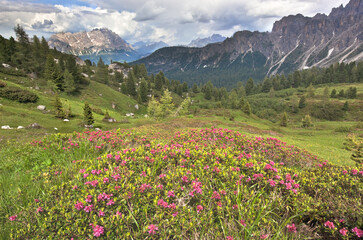 Fototapeta premium Beautiful alpine countryside. Scenic image of famous Sassolungo peak with overcast perfect blue sky. Wonderful Vall Gardena under sunlight. Majestic Dolomites Mountains. Amazing nature Landscape