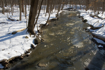 484-02 Hammel Creek Winter