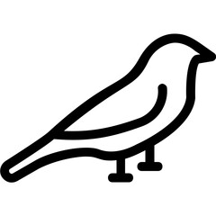 
Parrot Vector Icon
