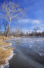 484-90 DuPage Sycamore Ice