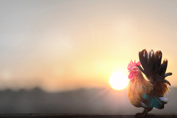 rooster on blurred beautiful sunrise sky with sun light background